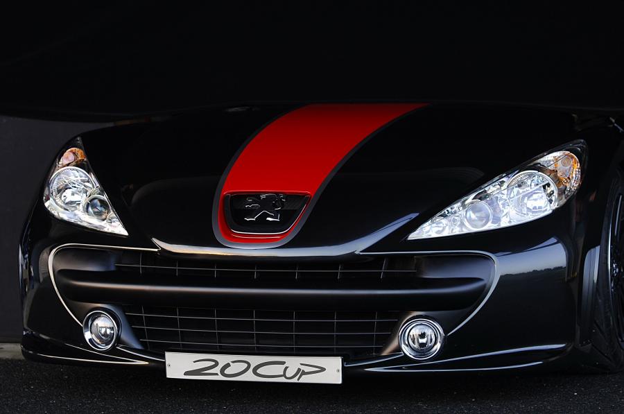  Peugeot 20Cup 2005 года  (фото 36 из 60)